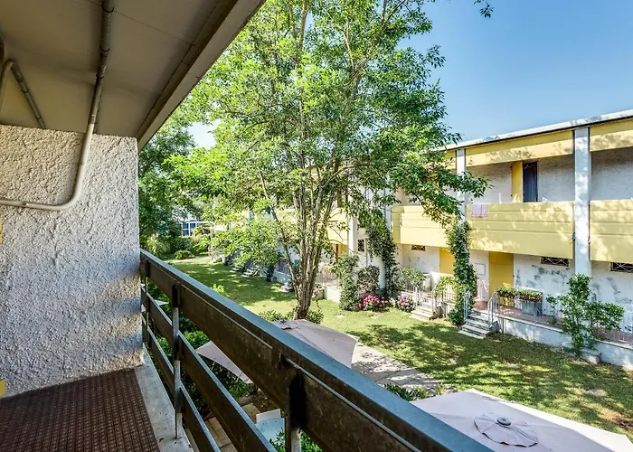 Blu Marlin Natural Free