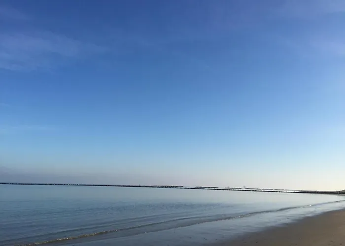 Apartmanhotel Blu Marlin Natural Free Lido Adriano